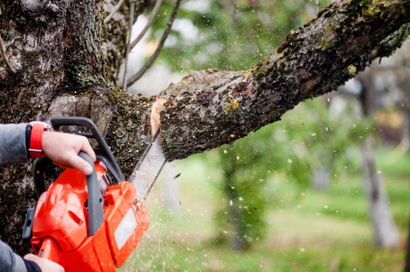 Apple Tree Removal in Pottstown, PA
