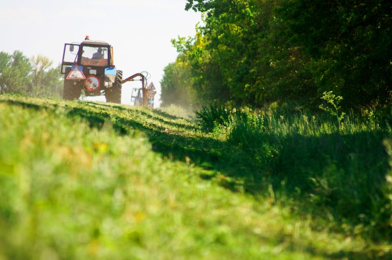 Brush Clearing Service in Gwinnett County, GA