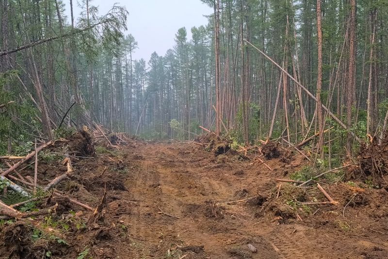 Hill Clearing in Cumming, GA
