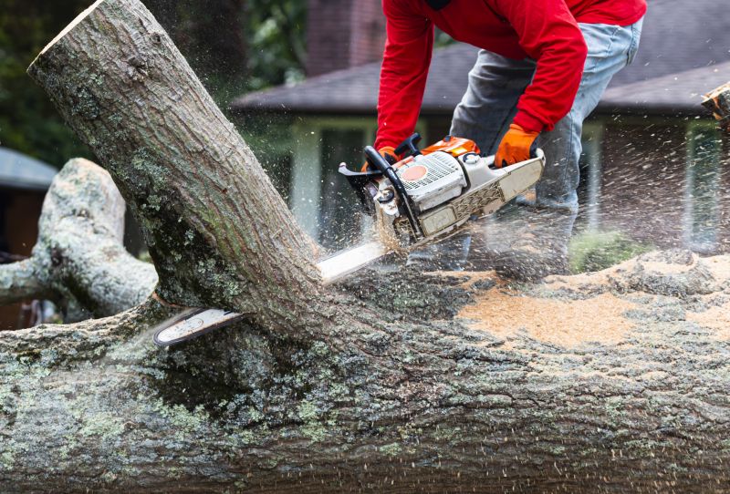 Products For Cherry Tree Removals in use