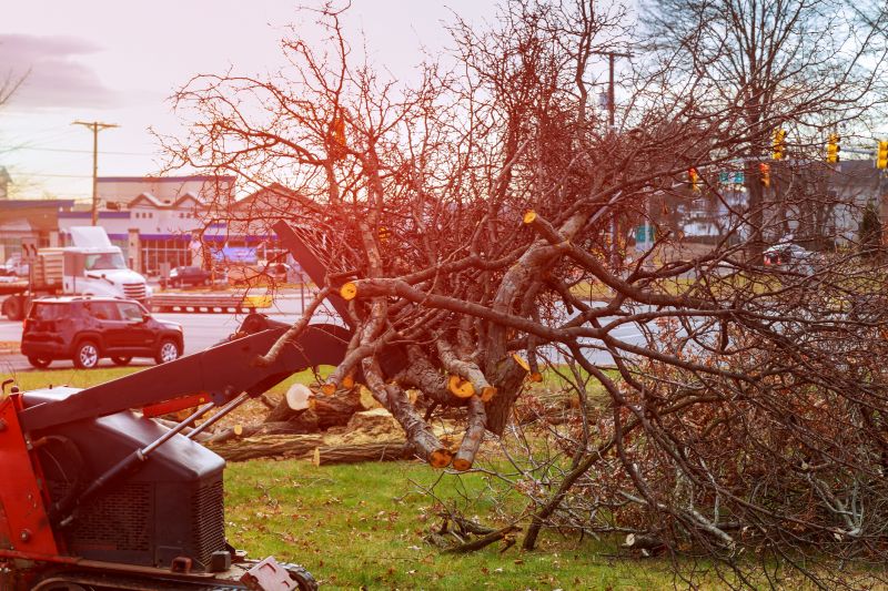 Site Clearing Service in Marietta, GA