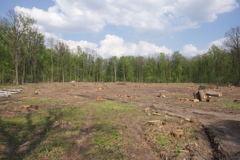 Terrain Clearing in Marietta, GA