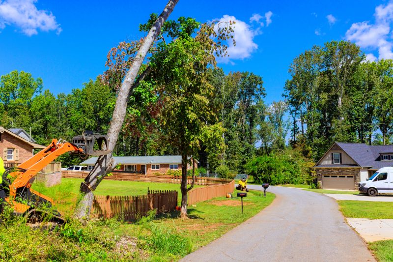 Tree Removal Service in Doylestown, PA